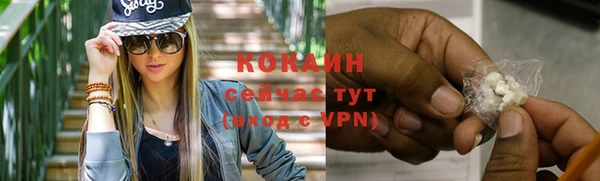 ешки Бородино